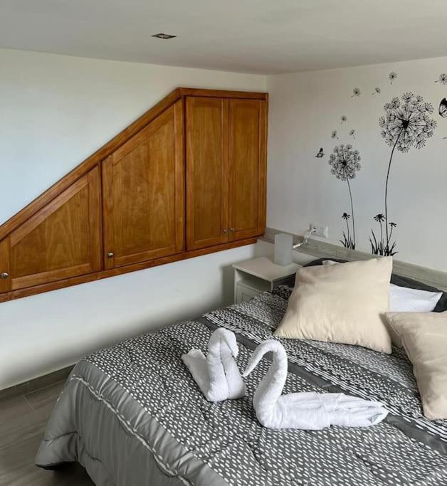 La Casita De La Pared Apartment Santa Cruz de Tenerife Luaran gambar